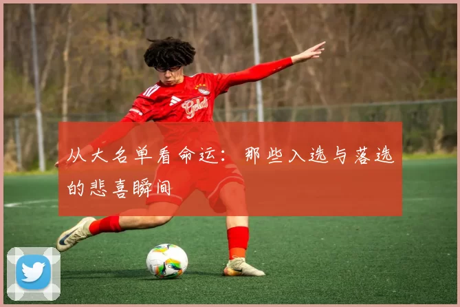 从大名单看命运:那些入选与落选的悲喜瞬间