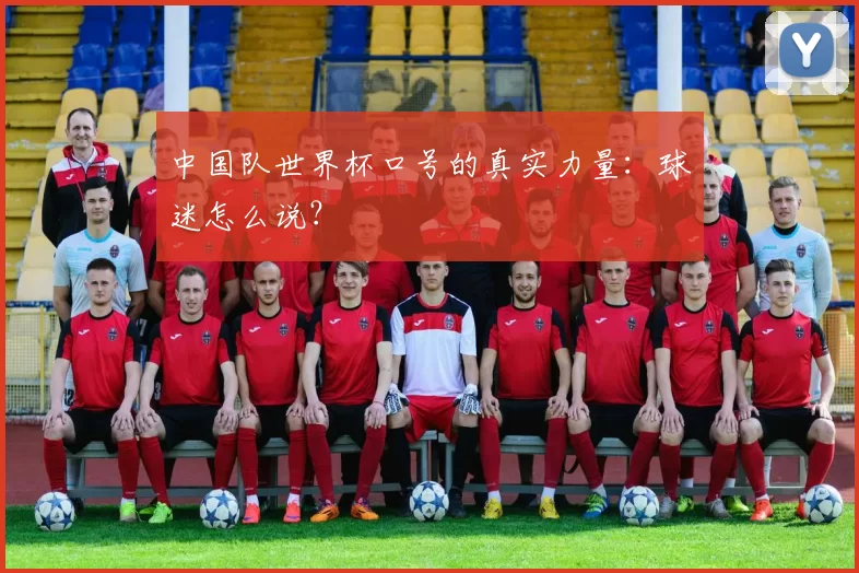 中国队世界杯口号的真实力量:球迷怎么说?