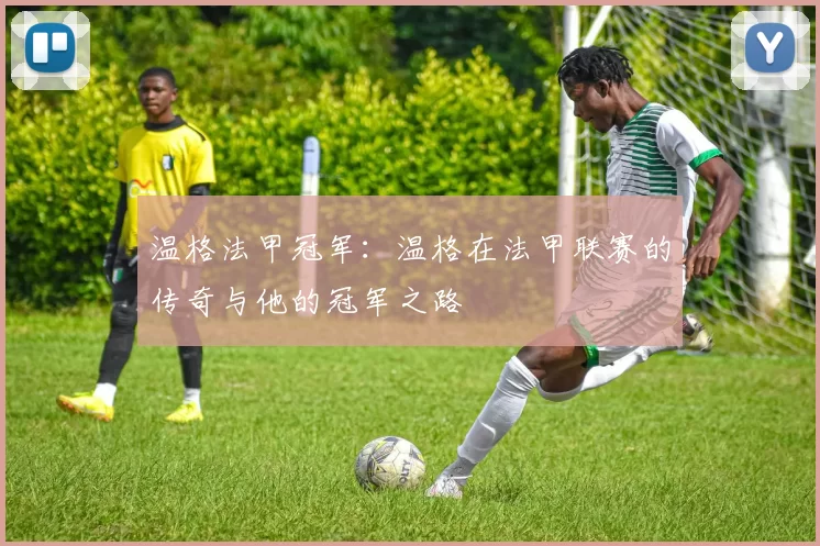 温格法甲冠军：温格在法甲联赛的传奇与他的冠军之路