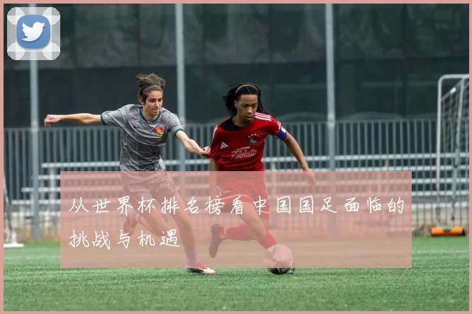 从世界杯排名榜看中国国足面临的挑战与机遇