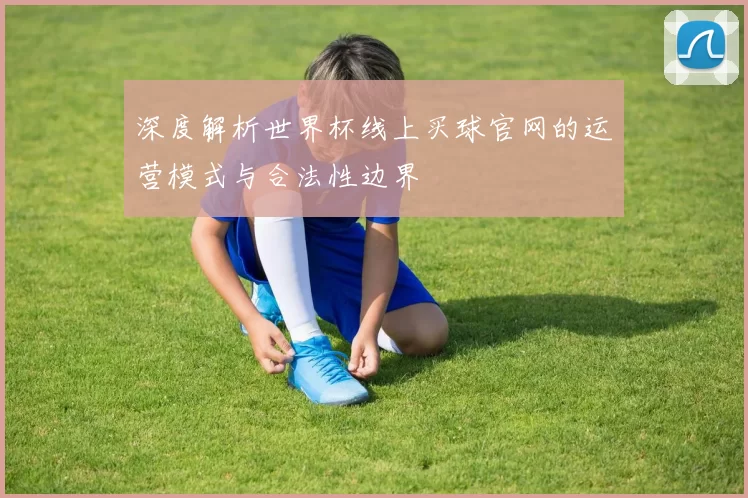 深度解析世界杯线上买球官网的运营模式与合法性边界