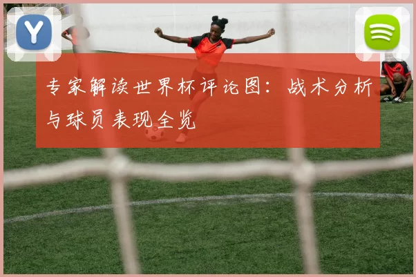 专家解读世界杯评论图：战术分析与球员表现全览