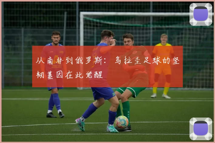 从南非到俄罗斯：乌拉圭足球的坚韧基因在此觉醒