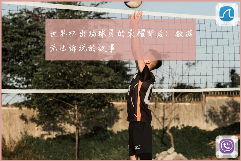 世界杯出场球员的荣耀背后:数据无法诉说的故事