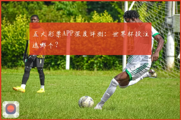 五大彩票APP深度评测：世界杯投注选哪个？