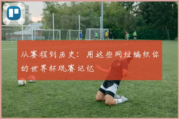从赛程到历史:用这些网址编织你的世界杯观赛记忆