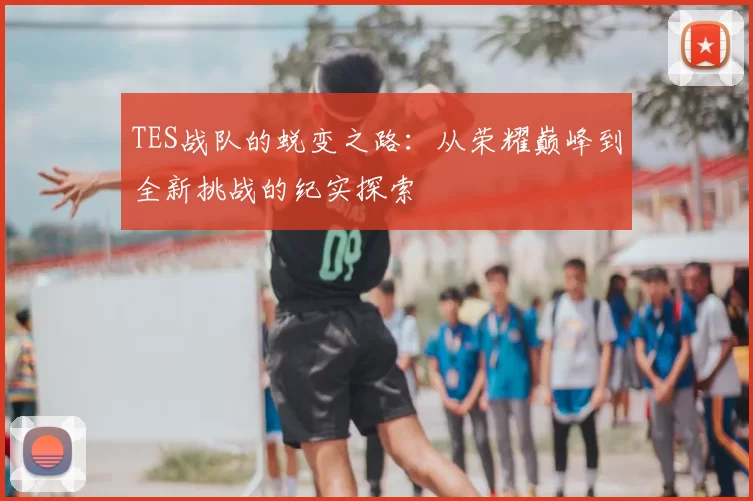 TES战队的蜕变之路：从荣耀巅峰到全新挑战的纪实探索