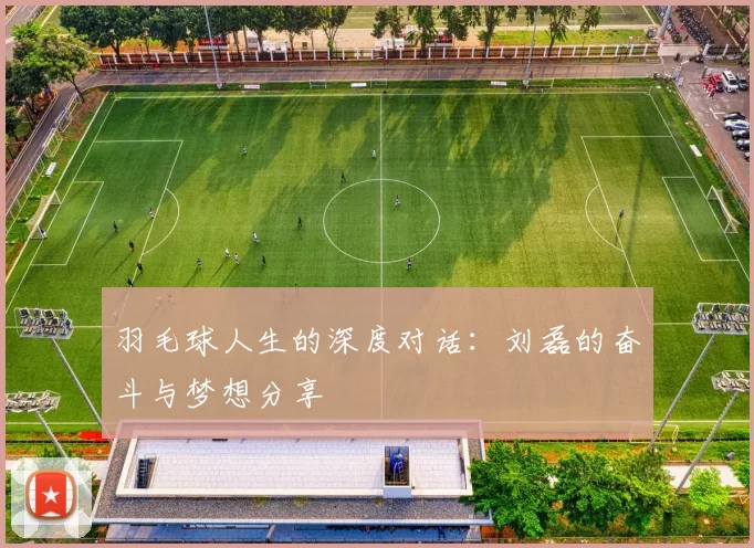 羽毛球人生的深度对话：刘磊的奋斗与梦想分享
