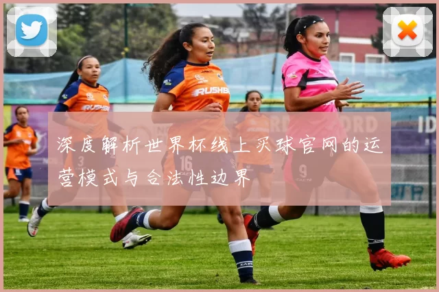 深度解析世界杯线上买球官网的运营模式与合法性边界