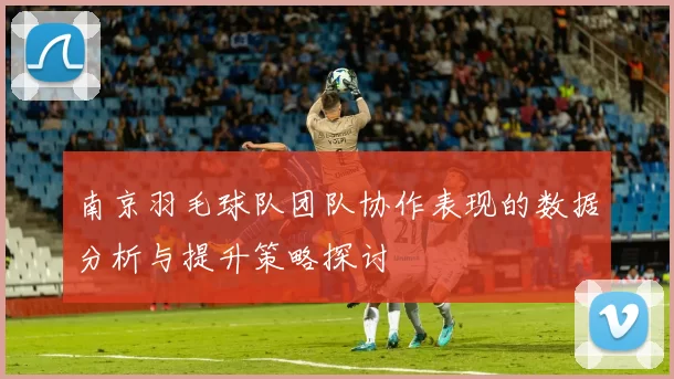 南京羽毛球队团队协作表现的数据分析与提升策略探讨