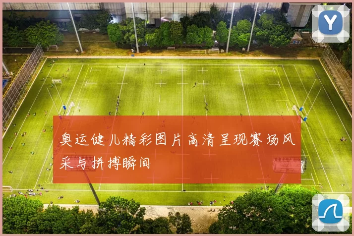 奥运健儿精彩图片高清呈现赛场风采与拼搏瞬间