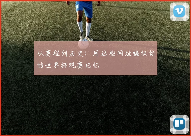 从赛程到历史：用这些网址编织你的世界杯观赛记忆