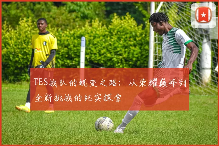 TES战队的蜕变之路:从荣耀巅峰到全新挑战的纪实探索