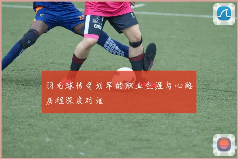 羽毛球传奇刘军的职业生涯与心路历程深度对话