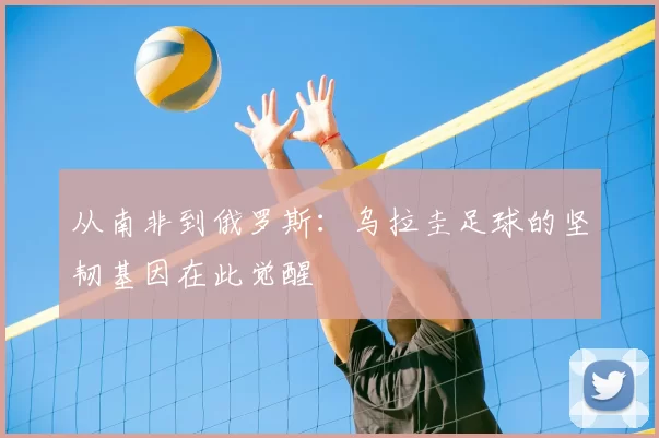 从南非到俄罗斯:乌拉圭足球的坚韧基因在此觉醒