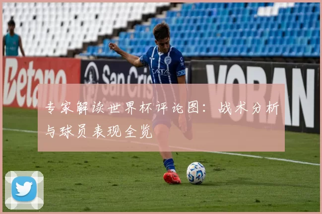 专家解读世界杯评论图:战术分析与球员表现全览
