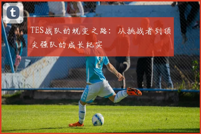 TES战队的蜕变之路:从挑战者到顶尖强队的成长纪实