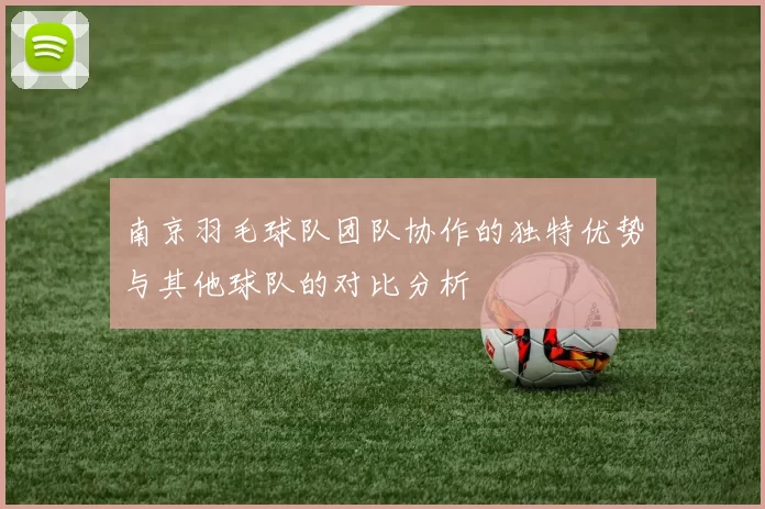 南京羽毛球队团队协作的独特优势与其他球队的对比分析