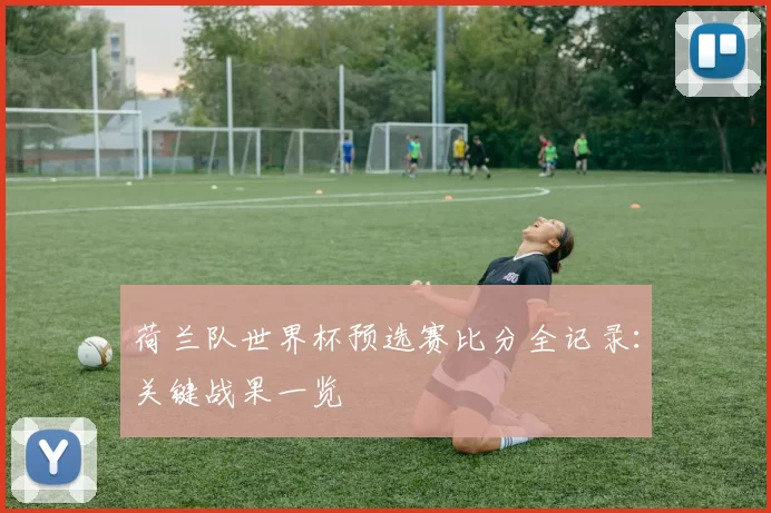 荷兰队世界杯预选赛比分全记录:关键战果一览